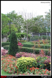 沙田中央公園