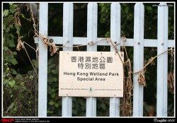 尖鼻咀