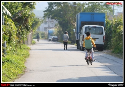 鄉郊的一條路