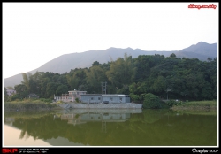 鹿頸