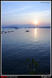 大埔
