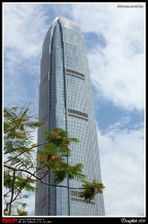 IFC
