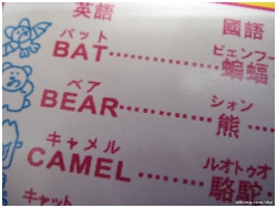 動物餅