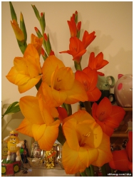 花