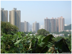 重陽登高, 花心坑, 康林苑