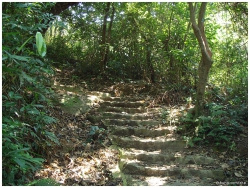 重陽登高
