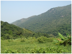 重陽登高