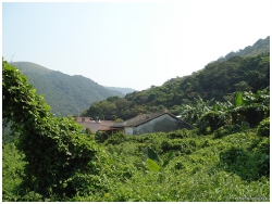 重陽登高, 梅子林