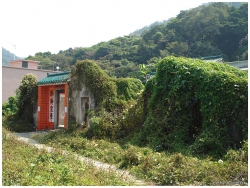 重陽登高, 梅子林