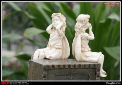 香港花卉展覽2007, 花絮