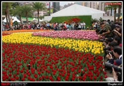 香港花卉展覽2007, 花絮
