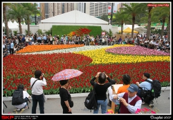 香港花卉展覽2007, 花絮