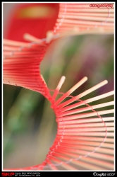 香港花卉展覽2007, 花絮
