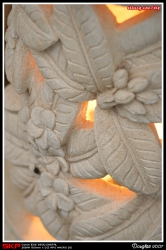 香港花卉展覽2007, 花絮
