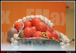 EMAX, 萬聖節