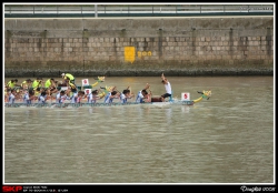 沙田龍舟競賽2008