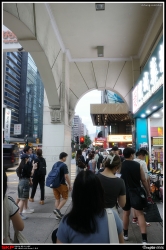 尖沙咀, 彌敦道