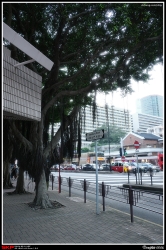 尖沙咀, 文化中心