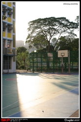 沙角小學