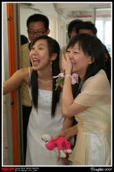 細BEAR結婚