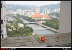 細BEAR結婚, VIEW