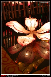 尖沙咀, 海傍, 維港, 花燈
