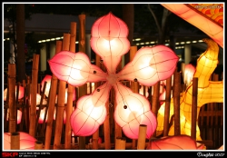 尖沙咀, 海傍, 維港, 花燈