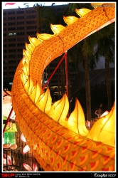 尖沙咀, 海傍, 維港, 花燈