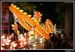 尖沙咀, 海傍, 維港, 花燈