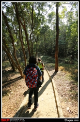 錦英苑後山, May, 英英, Elsa