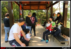 錦英苑後山, 婆婆, May, 英英, Elsa