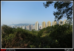 錦英苑後山, 向外影