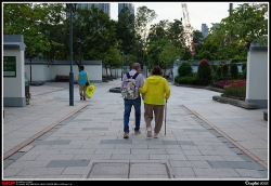 沙田中央公園