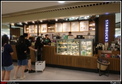 新港城