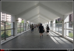 新港城