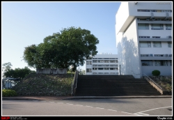 香港中文大學