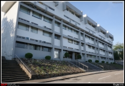 香港中文大學