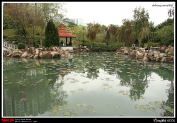 沙田中央公園