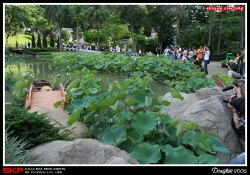 香港公園