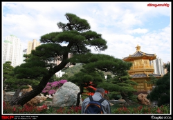志蓮靜苑, 南蓮園池