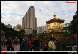 志蓮靜苑, 南蓮園池, 圓滿閣