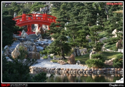志蓮靜苑, 南蓮園池