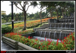 大埔海濱公園