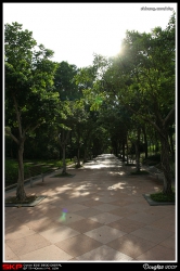 大埔海濱公園