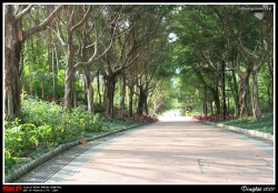 大埔海濱公園