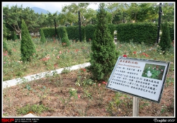 大埔海濱公園