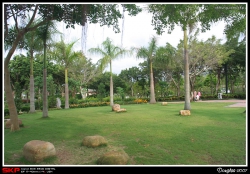 大埔海濱公園