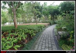 大埔海濱公園