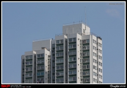 樓