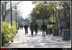 沙田中央公園